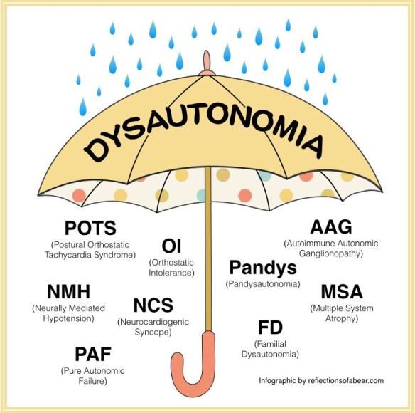 The Dysautonomia Project - Brain fog, or mental clouding, occurs